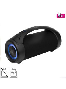   SAL BT 5000 hordozható bluetooth kihangosító, 2 x 25 W, sztereó boombox, FM rádió, USB, microSD, beépített mikrofon, RGB LED, ~30 óra üzemidő BT 5000